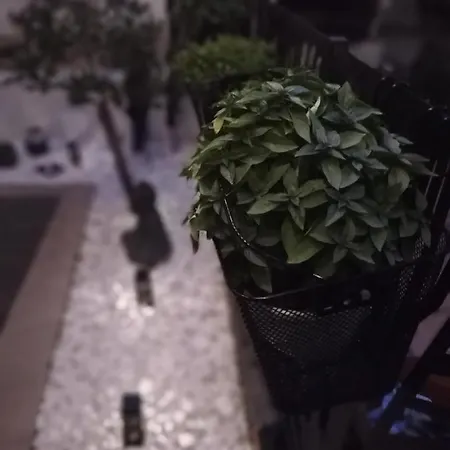 بيت للعطل Jani's House نيوي إيبيفاتاي